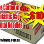 Carton Fantastic 85gm Oriental Noodles