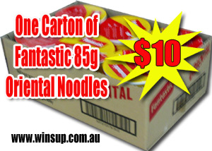 ctn fantastic oriental noodles 85gm